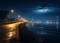 night promenade at sea on summer starry night and moon,on horizon city blurred light ,people walk