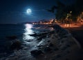 night promenade at sea on summer starry night and moon,on horizon city blurred light ,people walk