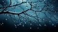 Night Rain Droplets On Tree Branches Wallpaper
