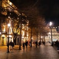 Night. Road. Lanterns. The lights. City. Architecture. Portugal.