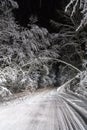 Night road in winter forest