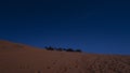 Camel caravan in the Sahara desert near Merzouga, Morocco Royalty Free Stock Photo