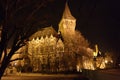 Night sceen of Vajdahunyad Castle, Budapest, Hungary Royalty Free Stock Photo