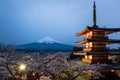 Night scene of Chureito Pagoda and Mt. Fuji with blooming sakura Royalty Free Stock Photo