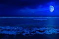 Night scene in a deserted beach Royalty Free Stock Photo