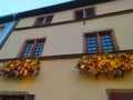 Night scene in Eguisheim, a traditional village in the Alsace wine region of France Royalty Free Stock Photo