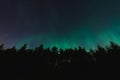 Night scene in Estonia, silhouettes of trees against the background of the starry sky and northern lights Royalty Free Stock Photo