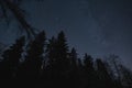 Night scene of Estonian nature, silhouette of winter forest trees against the background of the starry sky and milky way in night Royalty Free Stock Photo