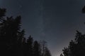 Night scene of Estonian nature, silhouette of winter trees against the background of the starry sky and milky way in night forest Royalty Free Stock Photo