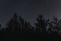Night scene of Estonian nature, silhouette of winter trees against the background of the starry sky in night forest Royalty Free Stock Photo