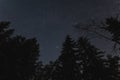 Night scene of Estonian nature in winter, silhouette of spruce trees against the background of the starry sky in dark forest Royalty Free Stock Photo