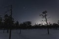 Night scene, Estonian nature in winter time, observation tower on the Viru raba and starry sky