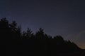 Night scene in the forest in Estonia. Silhouettes of trees against the background of the starry sky Royalty Free Stock Photo