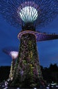 Night scene gardens by the bay supertrees singapore Royalty Free Stock Photo