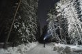 Night scene, a man with a flashlight in the snowy pine forest in winter. Starry sky