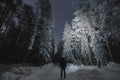 Night scene, a man with a headlamp in the winter forest with starry sky. Back view Royalty Free Stock Photo