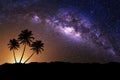 Night scene with Milky Way. Royalty Free Stock Photo