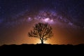 Night scene with Milky Way. Royalty Free Stock Photo