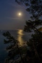 Night scene over the ocean with moon Royalty Free Stock Photo