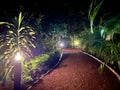 Night scene of a red clay path within the Mexican jungle, surrounded by plants Royalty Free Stock Photo