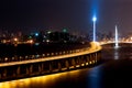 Night Scene of Shenzhen Bay Bridge Royalty Free Stock Photo