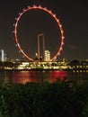 Night scene of the Singapore Flyer at Marina Bay Royalty Free Stock Photo