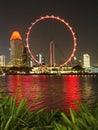 Night scene of the Singapore Flyer at Marina Bay Royalty Free Stock Photo