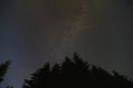 Night scene, starry sky in the forest, spruce tops against the background of the Milky Way