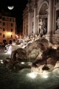 Night Scene of Trevi Fountain