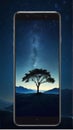 Lone Western Juniper Tree and Milky Way at night sky with stars.