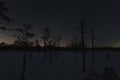 Night scene in winter in nature in Estonia. Snow, trees and starry sky at the Viru swamp Royalty Free Stock Photo