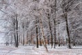 Night scene. Winter snowy park. Paths and trees are covered with snow. Lanterns are shining in the distance Royalty Free Stock Photo