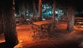 Night scene of wooden deck of an elegant outdoor bar, illuminated by small lamps in the trees that rise over the terrace