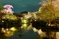 Night scenery of illuminated cherry blossoms in a Japanese garden of Toji