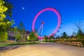 Night scenery of London Eye at the Thames river Royalty Free Stock Photo