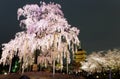 Night scenery of the majestic Five-Story Pagoda surrounded by vibrant Japanese Royalty Free Stock Photo