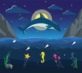 Night seascape with Dolphin jumps and underwater world