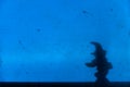 Night shadows on the blue wall. Black silhouette of a miniature stargazer on a rough stained wall. Profile of a bearded old man in