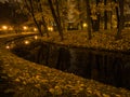 Night shooting a river in a city park Royalty Free Stock Photo