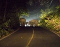 Night shot in Car Lights of A Family of five Asian Wild Elephant on the road in national park Royalty Free Stock Photo