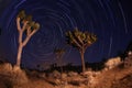 Night Shot of Star Trails in Joshua Tree National Royalty Free Stock Photo