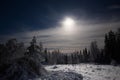 Night shot of winterly meadow in the Forest