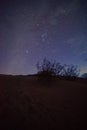 Night Skies at Joshua Tree, Death Valley and Little Tujunga Royalty Free Stock Photo