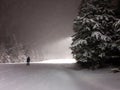 Night skiing with lights  skier on the ski slope at night Royalty Free Stock Photo