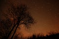 Night sky Royalty Free Stock Photo