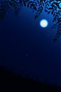 Night sky background. Moon and star, cloud on night sky Royalty Free Stock Photo