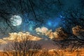 A night sky background with stars, moon and clouds through trees Royalty Free Stock Photo