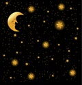 Night sky background, vector