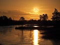 Night sky Moon rise over swamp observing Royalty Free Stock Photo