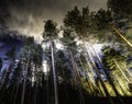Night sky with clouds shines over Scandinavian wild forest, long exposure night photo, autumn, virgin landscape